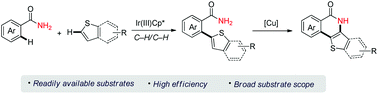 Graphical abstract: Iridium-catalyzed oxidative Ar–H/Ar–H cross-coupling of primary benzamides with thiophenes