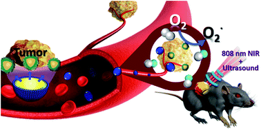 Graphical abstract: Nanobubble-embedded inorganic 808 nm excited upconversion nanocomposites for tumor multiple imaging and treatment