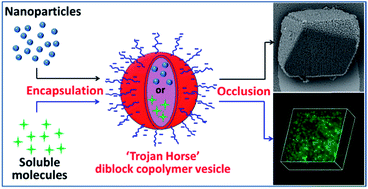 Graphical abstract: Anionic block copolymer vesicles act as Trojan horses to enable efficient occlusion of guest species into host calcite crystals