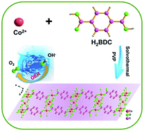 Graphical abstract: Ultrathin two-dimensional cobalt–organic framework nanosheets for high-performance electrocatalytic oxygen evolution