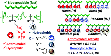 Graphical abstract: Modulating bioactivities of primary ammonium-tagged antimicrobial aliphatic polycarbonates by varying length, sequence and hydrophobic side chain structure