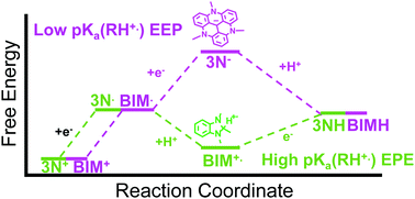 Graphical abstract: Importance of proton-coupled electron transfer in cathodic regeneration of organic hydrides