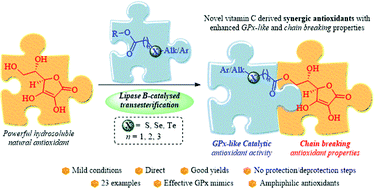 Graphical abstract: Direct biocatalysed synthesis of first sulfur-, selenium- and tellurium- containing l-ascorbyl hybrid derivatives with radical trapping and GPx-like properties