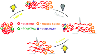 Graphical abstract: Visible light induced controlled cationic polymerization by in situ generated catalyst from manganese carbonyl