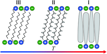 Graphical abstract: Understanding the structure and dynamics of cationic surfactants from studies of pure solid phases