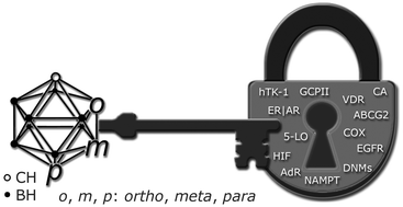 Graphical abstract: New keys for old locks: carborane-containing drugs as platforms for mechanism-based therapies