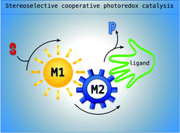 Graphical abstract: Metal-supported and -assisted stereoselective cooperative photoredox catalysis