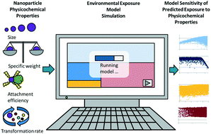 Graphical abstract: A model sensitivity analysis to determine the most important physicochemical properties driving environmental fate and exposure of engineered nanoparticles