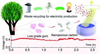 Graphical abstract: Recycling non-food-grade tree gum wastes into nanoporous carbon for sustainable energy harvesting