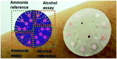 Graphical abstract: Soft, skin-interfaced microfluidic systems with integrated enzymatic assays for measuring the concentration of ammonia and ethanol in sweat