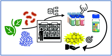 Graphical abstract: Innovative omics-based approaches for prioritisation and targeted isolation of natural products – new strategies for drug discovery