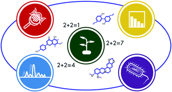 Graphical abstract: Synergy and antagonism in natural product extracts: when 1 + 1 does not equal 2