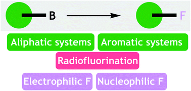 Graphical abstract: Fluorination of organoboron compounds