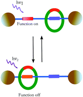 Graphical abstract: Photochromic rotaxanes and pseudorotaxanes