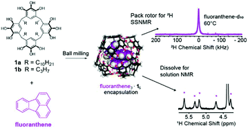 Graphical abstract: 2H NMR reveals liquid state-like dynamics of arene guests inside hexameric pyrogallol[4]arene capsules in the solid state