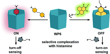 Graphical abstract: Carboxylato-pillar[6]arene-based fluorescent indicator displacement assays for the recognition of monoamine neurotransmitters