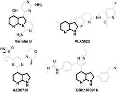 Graphical abstract: Microwave-assisted synthesis of 7-azaindoles via iron-catalyzed cyclization of an o-haloaromatic amine with terminal alkynes