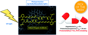 Graphical abstract: A natural solution to photoprotection and isolation of the potent polyene antibiotic, marinomycin A