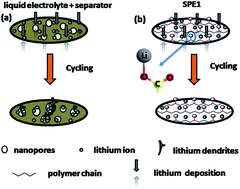 Graphical abstract: A lithium carboxylate grafted dendrite-free polymer electrolyte for an all-solid-state lithium-ion battery
