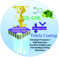Graphical abstract: Ultra-thin trinity coating enabled by competitive reactions for unparalleled molecular separation