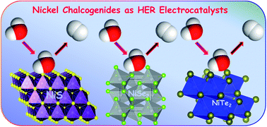 Graphical abstract: Progress in nickel chalcogenide electrocatalyzed hydrogen evolution reaction