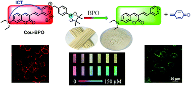 Graphical abstract: A selective cascade reaction-based probe for colorimetric and ratiometric fluorescence detection of benzoyl peroxide in food and living cells