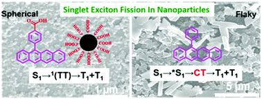 Graphical abstract: Enhancing the intermolecular singlet fission efficiency by controlling the self-assembly of amphipathic tetracene derivatives in aqueous solution