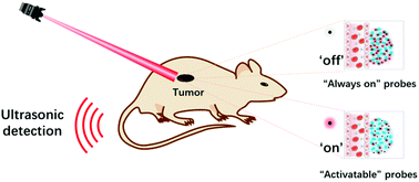 Graphical abstract: Recent development of near-infrared photoacoustic probes based on small-molecule organic dye