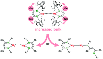 Graphical abstract: Mg–Mg bond polarization induced by a superbulky β-diketiminate ligand