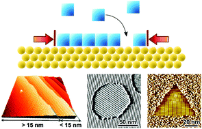 Graphical abstract: 2D Self-assembled molecular networks and on-surface reactivity under nanoscale lateral confinement