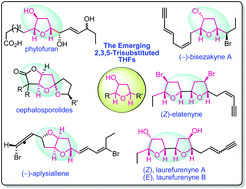 Graphical abstract: Emergence of 2,3,5-trisubstituted tetrahydrofuran natural products and their synthesis