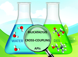 Graphical abstract: Advances in deep eutectic solvents and water: applications in metal- and biocatalyzed processes, in the synthesis of APIs, and other biologically active compounds