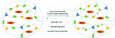 Graphical abstract: Self-healing behaviour of furan–maleimide poly(ionic liquid) covalent adaptable networks