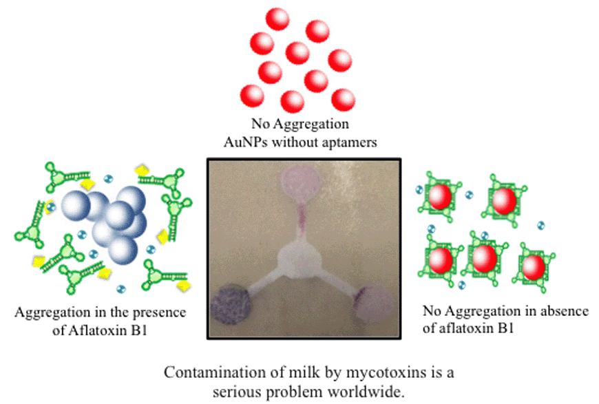 Graphical abstract: Microfluidic paper device for rapid detection of aflatoxin B1 using an aptamer based colorimetric assay