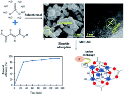 Graphical abstract: Adsorptive, kinetics and regeneration studies of fluoride removal from water using zirconium-based metal organic frameworks