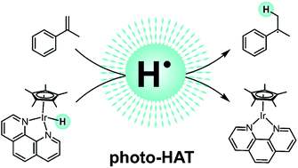 Graphical abstract: Photo-triggered hydrogen atom transfer from an iridium hydride complex to unactivated olefins
