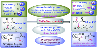 Graphical abstract: Palladium-catalyzed direct asymmetric C–H bond functionalization enabled by the directing group strategy