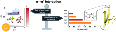 Graphical abstract: Increasing protein stability by engineering the n → π* interaction at the β-turn