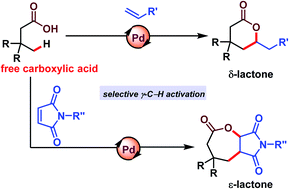 Graphical abstract: A direct route to six and seven membered lactones via γ-C(sp3)–H activation: a simple protocol to build molecular complexity