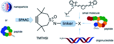 Graphical abstract: TMTHSI, a superior 7-membered ring alkyne containing reagent for strain-promoted azide–alkyne cycloaddition reactions