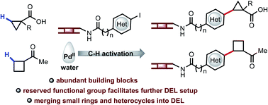 Graphical abstract: Merging C(sp3)–H activation with DNA-encoding