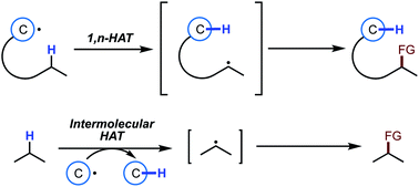 Graphical abstract: C–H functionalization reactions enabled by hydrogen atom transfer to carbon-centered radicals