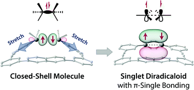 Graphical abstract: Impact of the macrocyclic structure and dynamic solvent effect on the reactivity of a localised singlet diradicaloid with π-single bonding character
