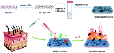 Graphical abstract: A near-infrared light-responsive multifunctional nanocomposite hydrogel for efficient and synergistic antibacterial wound therapy and healing promotion