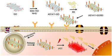 Graphical abstract: Tumor microenvironment and NIR laser dual-responsive release of berberine 9-O-pyrazole alkyl derivative loaded in graphene oxide nanosheets for chemo-photothermal synergetic cancer therapy