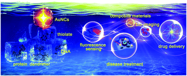 Graphical abstract: Development of gold nanoclusters: from preparation to applications in the field of biomedicine