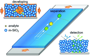 Graphical abstract: Amorphous colloidal photonic crystals assembled by mesoporous silica particles for thin layer chromatography with high separation efficiency and colorimetric recognition