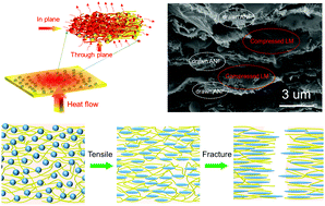 Graphical abstract: Highly thermally conductive liquid metal-based composites with superior thermostability for thermal management