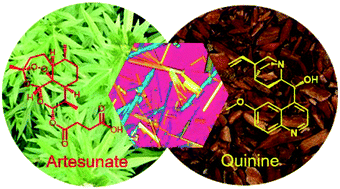 Graphical abstract: Multicomponent crystals of an artemisinin derivative and cinchona alkaloids for use as antimalarial drugs