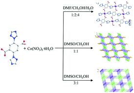 Graphical abstract: Solvent-controlled metal coordination polymers of Co(ii) with different topological structures and properties